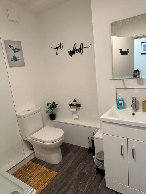 Cosy Authentic Flat In The Heart Of 갈라쉴즈 외부 사진